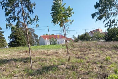 /international/pt/alvorninha-leiria-310095106191/
