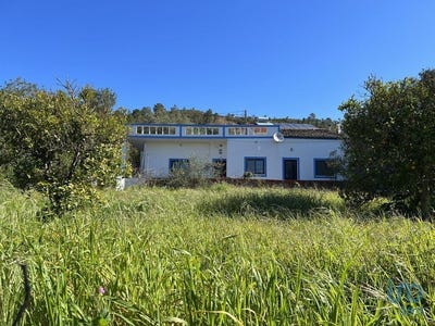 /international/pt/salir-faro-310101186382/?lang=zh-tw
