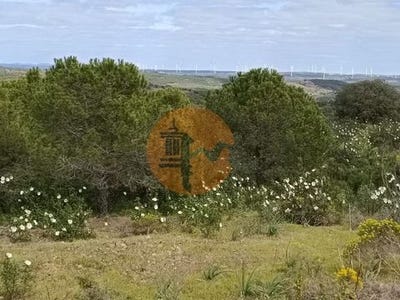 /international/pt/picarral-castro-marim-faro-120086457556/