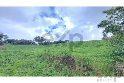 /international/pt/lenho-na-nordeste-azores-310100575873/