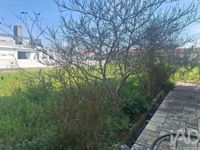 /international/pt/setubal-setubal-municipality-310106991573/
