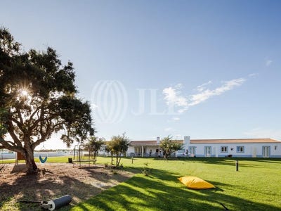 /international/pt/sao-teotonio-beja-310105349076/