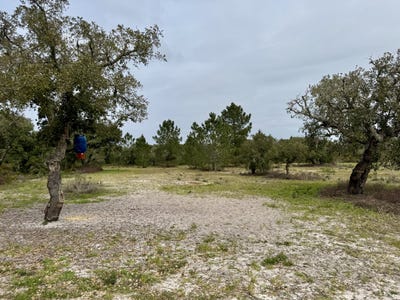 /international/pt/setubal-setubal-municipality-310108667588/
