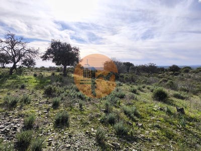 /international/pt/odeleite-faro-310105420554/