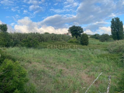 /international/pt/n360-65-2500-santa-catarina-portugal-santa-catarina-lisbon-310108400561/