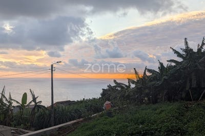 /international/pt/ponta-do-sol-madeira-310107088318/