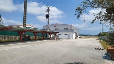 /international/pt/calvaria-de-cima-leiria-310100113868/