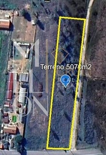 /international/pt/benavente-santarem-310107358996/