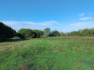 /international/pt/setubal-setubal-municipality-310097770729/