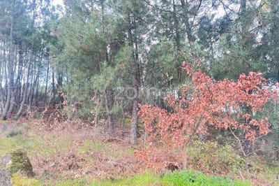 /international/pt/vila-real-vila-real-310104042253/