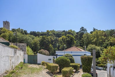 /international/pt/rua-hermenegildo-capelo-palmela-portugal-palmela-setubal-municipality-310102112333/