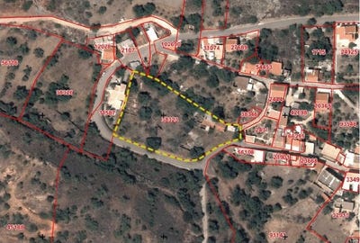 /international/pt/alte-faro-310098737888/