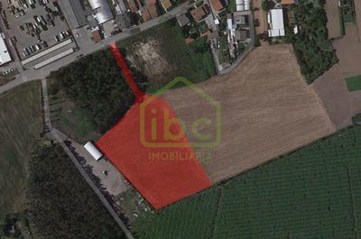 /international/pt/guilhabreu-porto-310109122759/