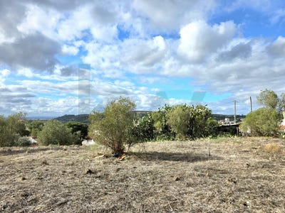 /international/pt/carrascal-santarem-310103447792/