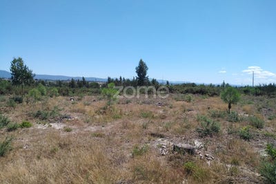 /international/pt/seia-guarda-120086050521/