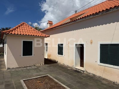 /international/pt/monte-madeira-310107794116/