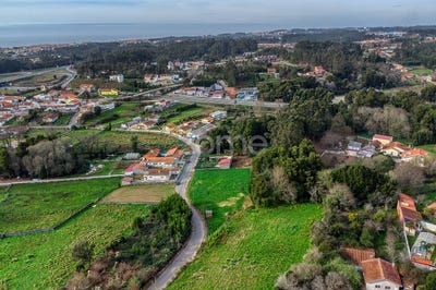 /international/pt/espinho-castelo-branco-310099740572/