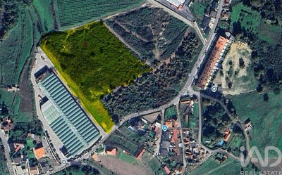/international/pt/porto-braga-310107490972/