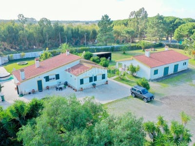 /international/pt/pegoes-setubal-municipality-310108652305/