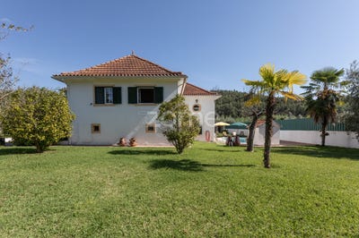 /international/pt/vila-nova-de-poiares-coimbra-120088829958/