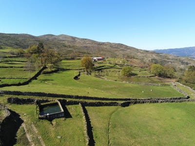 /international/pt/espindo-ruivaes-e-campos-braga-310104189583/