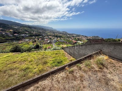 /international/pt/canhas-madeira-310109238459/?lang=es