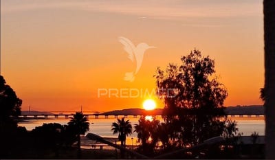 /international/pt/alcochete-alcochete-setubal-municipality-310102339779/