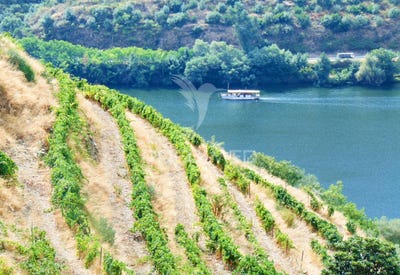 /international/pt/galafura-e-covelinhas-peso-da-regua-vila-real-120089654775/