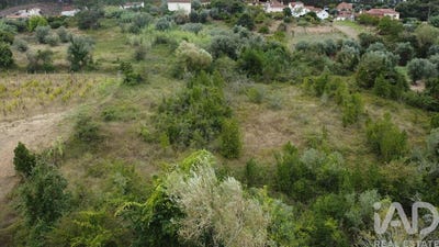 /international/pt/leiria-leiria-120090926511/