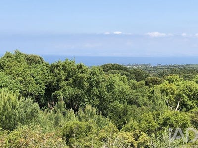 /international/pt/setubal-setubal-municipality-310105242863/