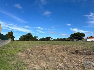 /international/pt/peniche-leiria-120094740342/