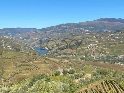 /international/pt/cambres-viseu-310103429057/