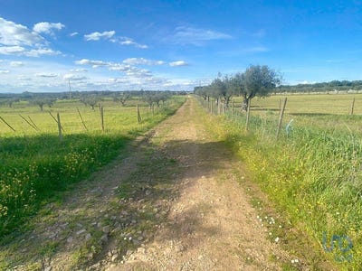 /international/pt/portalegre-portalegre-310100955546/