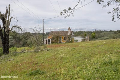 /international/pt/martinchel-santarem-310097722073/