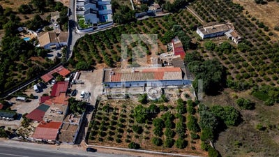 /international/pt/boliqueime-madeira-310108243548/