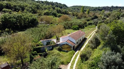 /international/pt/65qq-xq-marmeleira-portugal-almoster-santarem-310100182786/