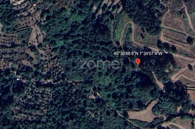 /international/pt/gouveia-guarda-310107358025/