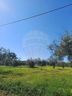 /international/pt/coimbra-lisbon-310106737989/