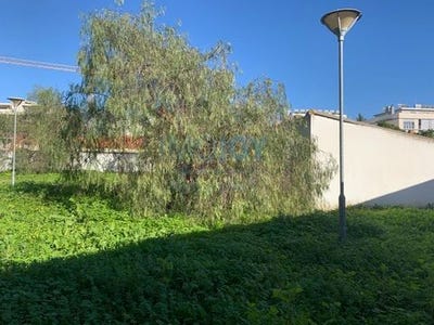 /international/pt/montijo-setubal-municipality-120094146730/