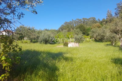 /international/pt/alvaiazere-leiria-120084239316/?lang=zh-tw