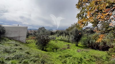 /international/pt/tortosendo-covilha-braga-120088577202/
