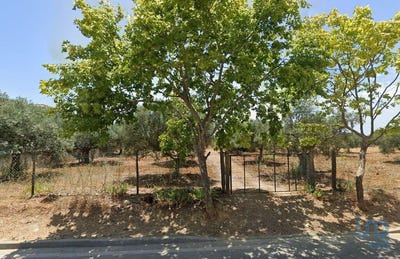 /international/pt/ferreiras-faro-310101184533/?lang=zh-tw