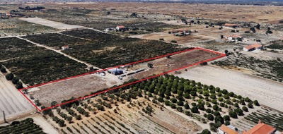 /international/pt/palmela-setubal-municipality-310100667205/