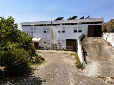 /international/pt/riachos-torres-novas-santarem-310101277400/?lang=zh-cn