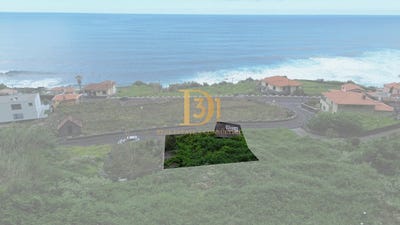 /international/pt/sao-vicente-madeira-madeira-310108100757/
