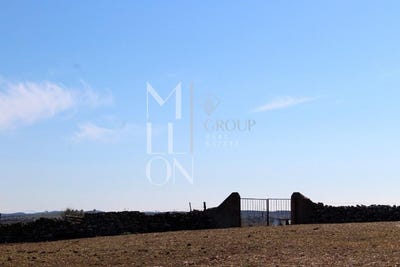 /international/pt/granja-lisbon-310107358469/