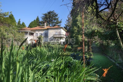 /international/pt/vila-nova-de-gaia-porto-310097319666/
