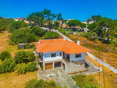 /international/pt/rua-dos-fachos-foz-do-arelho-portugal-foz-do-arelho-leiria-310101413553/