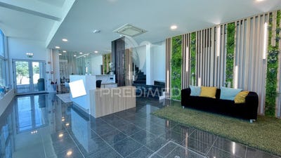 /international/pt/seixal-arrentela-e-aldeia-de-paio-pires-seixal-setubal-municipality-310094615806/