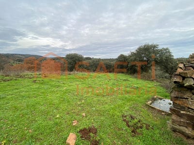/international/pt/vinhas-porto-310104310816/